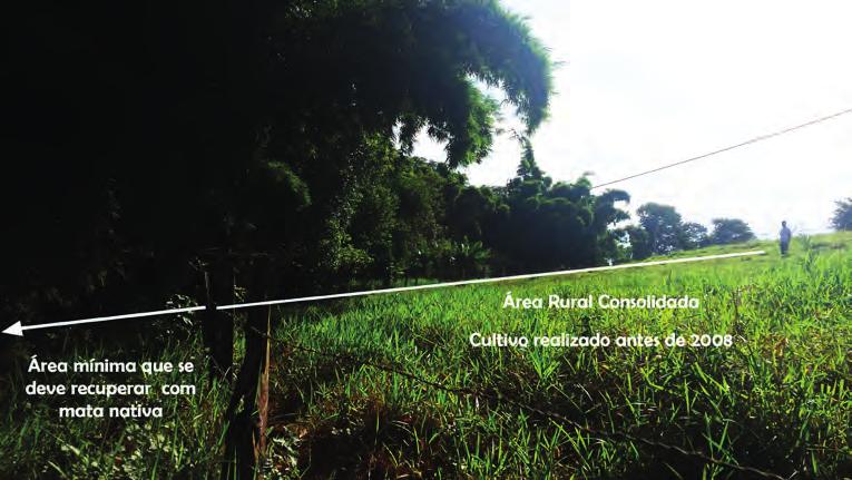2º Verificar a existência de área rural consolidada (definição na página 19) Aqui nos Pereiras, a maioria das áreas localizadas próximo de cursos d água (APPs) já eram utilizadas com produção