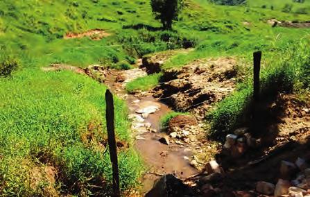 Além disso a APP é importante para: Proteger a qualidade de água dos rios, córregos e nascentes;