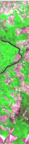 Figura 3- Imagem Landsat