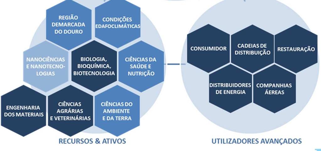 Domínio Prioritário: Sistemas Agroambientais e Alimentação RACIONAL Articulação do potencial agrícola regional em produtos de elevado valor acrescentado (vinho, azeite, castanha, etc) com