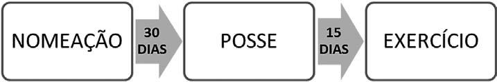 3.1.1. Da posse A investidura em cargo público ocorrerá com a posse. (art. 7º da Lei 8.112/90). Só havendo esta no caso de provimento originário, ou seja, por nomeação (art. 13, 4º do estatuto).