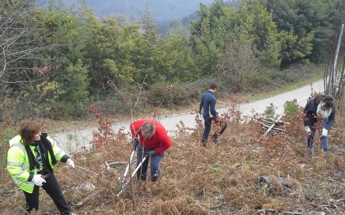 2 Ações no terreno na Serra do Buçaco poda de árvores e arbustos No âmbito do protocolo da Fundação Luso com a Quercus, ficou