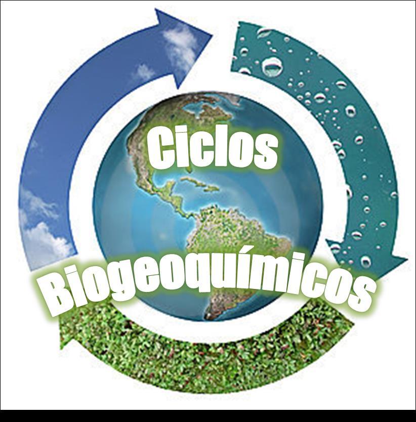 Ciclos