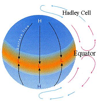 Modelo de circulação geral Célula Única Assumindo que: A Terra é uniformemente coberta por água O Sol é dirigido sobre o Equador Terra sem rotação Padrão de