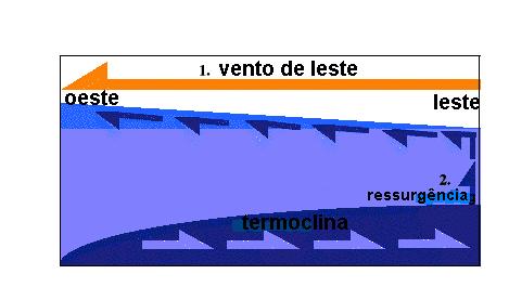 Os alísios durante um ano normal Durante um ano