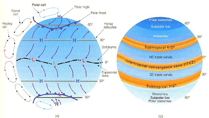 Modelo simplificado de 3 células Pode-se mostrar matematicamente que, os ventos de superfície, em nossa "Terra" idealizada, serão (i) (ii) (iii) de nordeste entre cerca de 30º N e o equador, e de