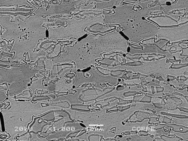 Capítulo IV 105 Figura 69: Micrografia eletrônica com a técnica de elétrons secundários e retroespalhado na ZTA do AID 3. 4.