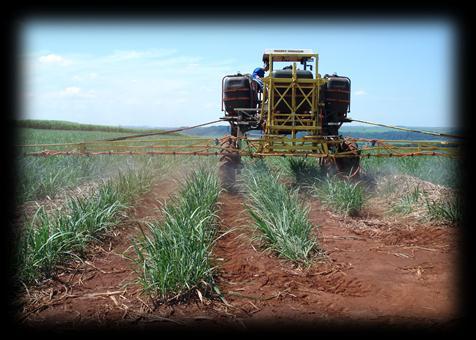 70/30 Drench Aérea Área Total