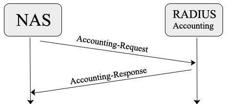 Figura 1 - Registro da requisição de acesso do cliente. Os atributos de accounting carregados no pacote podem conter mais ou menos informações sobre o acesso, dependendo do NAS em questão.