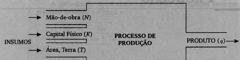 Produção Conceitos Básicos Produção: o processo pelo qual uma firma transforma os fatores de produção adquiridos em produtos ou serviços para a venda no mercado.