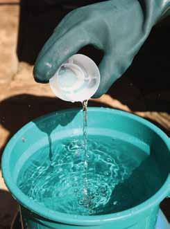 2 - Sanitize balde e coador A sanitização dos utensílios é realizada 30 minutos antes da ordenha com objetivo de reduzir a presença de microrganismos.