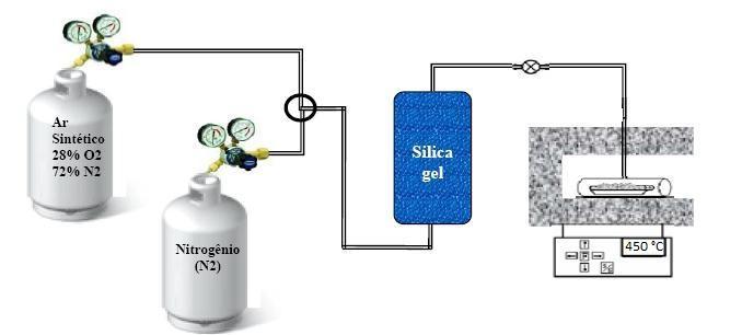 Segundo o procedimento, a amostra foi aquecida até 450 ºC, o material permaneceu por 1 hora sob nitrogênio no mesmo fluxo de 100 ml.min -1.