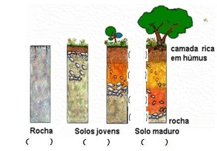 c) EXPLIQUE por que no Brasil não ocorrem grandes terremotos. QUESTO 10 O solo é a camada superficial da crosta. Ele é o resultado do processo de decomposição ou degradação das rochas.