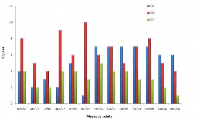 Fig. 3 - Riqueza mensal das espécies de vespas sociais encontradas nos diferentes métodos de coleta do