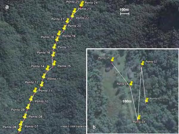 96 APÊNDICE 1- Visualização da Fazenda Angelim, Ubatuba, SP através do programa Google Earth: (a) transecto percorrido no interior da mata para a coleta de vespas, sendo o percurso do ponto seis ao
