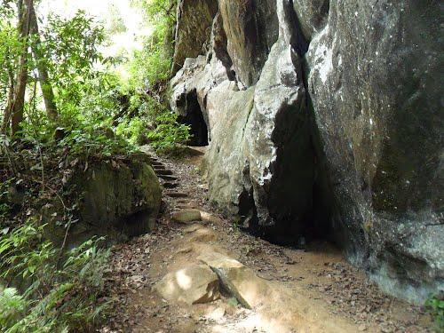 Esses ambientes podem estar localizados em áreas florestais epígeas ou em áreas hipógeas (grutas), o que cria condições diferentes de exposição luminosa, temperatura e umidade da rocha e, finalmente,