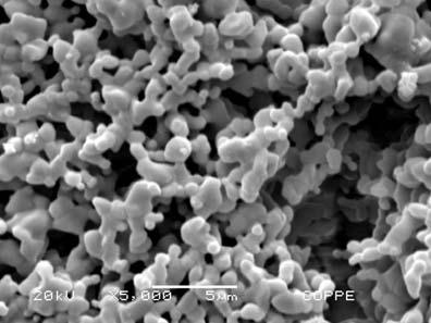 Foram observadas quatro faixas de decomposição: 1) de 55 a 180 C com perda em peso de 33,33%, atribuída à evaporação de compostos orgânicos; de 180 a 345 C com perda em peso de 3,34%; na faixa que