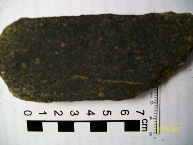 A rocha analisada é classificada como um biotita gnaisse (quartzo-diorito gnaisse). Amostra sã.