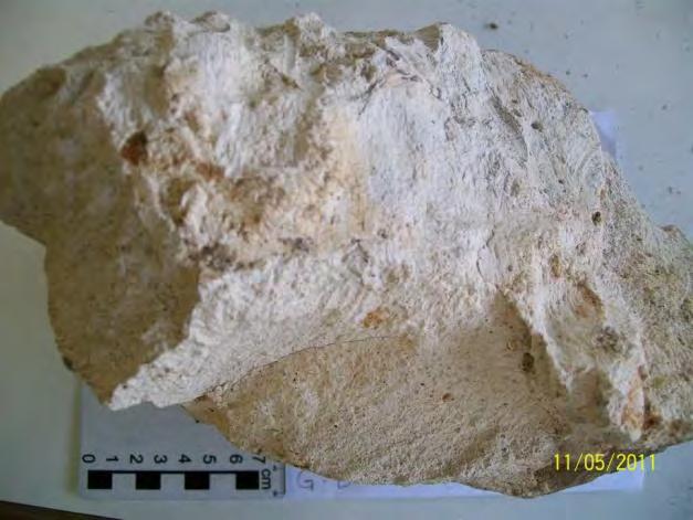 A rocha foi classificada como sendo um leucognaisse bandado (granodiorito ganisse). Rocha sã.