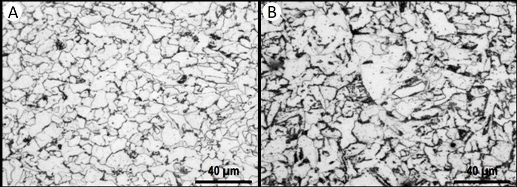 3 RESULTADOS E DISCUSSÃO As microestruturas produzidas para cada aço (ASTM A1018 HSLAS 50 classe 1, ASTM A1018 SS36 tipo 2), foram analisadas via microscopia óptica, sendo utilizado um aumento de 500