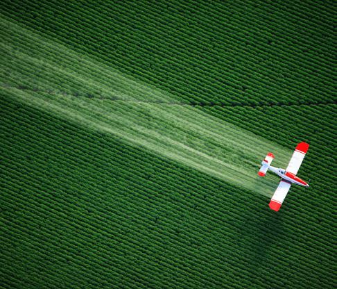 Apresentação É crescente a utilização de agrotóxicos nas lavouras e como consequência do uso indiscriminado desses venenos, muitos enxames têm sido dizimados em todas as regiões do Brasil.