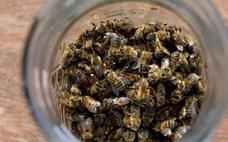 O uso indiscriminado de inseticidas neonicotinóides já foi admitido como uma das causas prováveis da Desordem do Colapso das Colônias (CCD), fenômeno pelo qual as abelhas não retornam para os enxames.