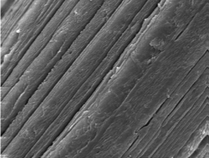 Micrografias de MEV da fibra de sisal: a) antes, e b) após o branqueamento com peróxido alcalino.
