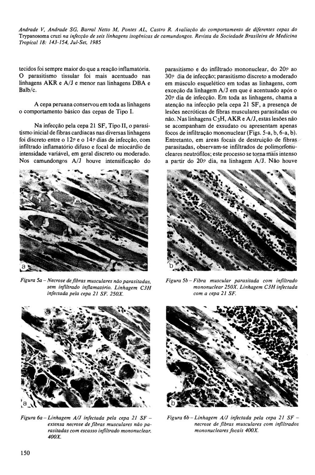 Trypanosoma cruzi na infecção de seis linhagens isogênicas de camundongos. Revista da Sociedade Brasileira de Medicina tecidos foi sempre maior do que a reação inflamatória.