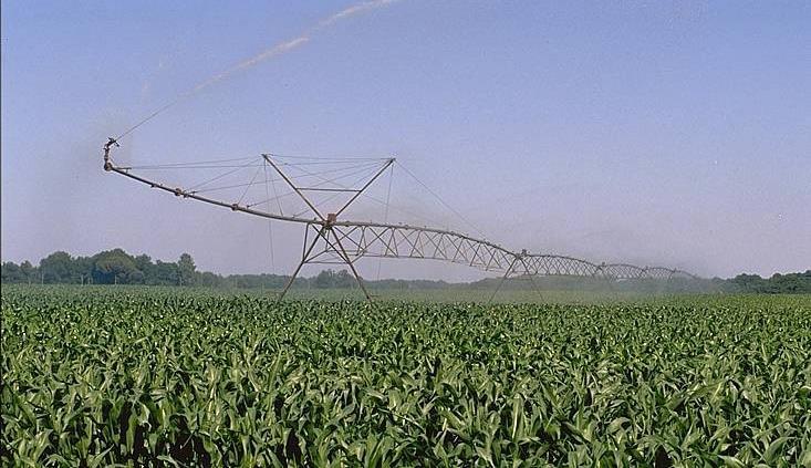 A Gestão da Reserva da Biosfera