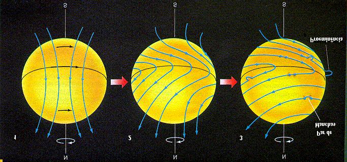 Figura 6.27 Como o Sol gira mais rapidamente no equador com o tempo as linhas do campo magnético vão enrolando e acabam adquirindo direções opostas nos dois hemisférios.