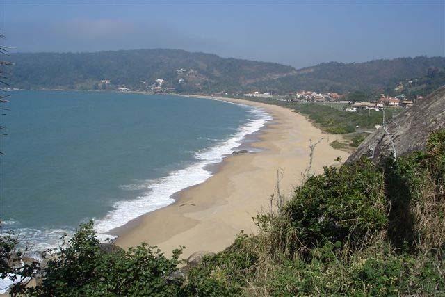 311 vegetação litorânea, com restinga herbácea curta, seguida de vegetação introduzida. A rodovia Interpraias margeia a vegetação de restinga por toda a praia.