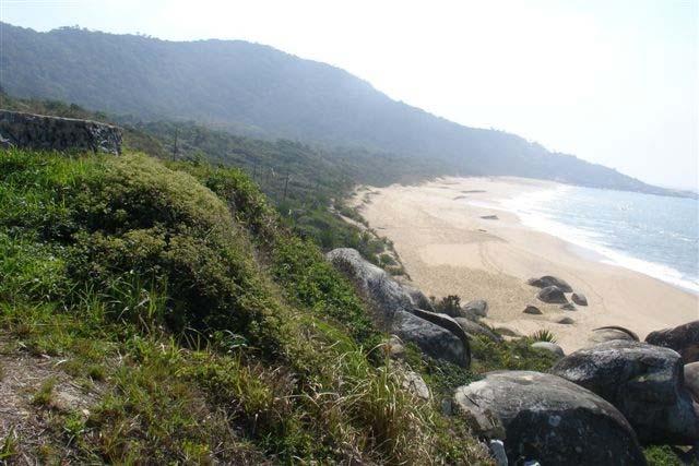 312 correspondendo a praia de Laranjeiras, no limite oeste da APA. A figura 248 representa a caracterização da praia. Figura 248 Porção sul da praia de Taquarinhas Ponto de tomada da foto: 27º00 02.