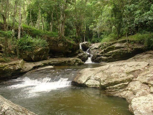 No trecho, o visitante tem a oportunidade de observar o rio, a cascata, a mata ciliar, a floresta ombrófila densa, passando por trilhas.