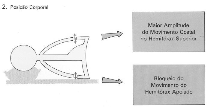 Dinâmica Costal Factores que influenciam a Dinâmica Costal 2 Posição corporal Em decúbito lateral observa-se um bloqueio na mobilidade costal do hemitórax apoiado.