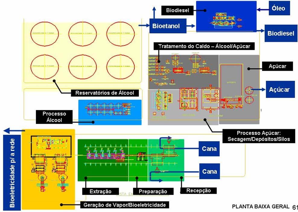 Produção integrada de Biodiesel em Usinas Sucroalcooleiras