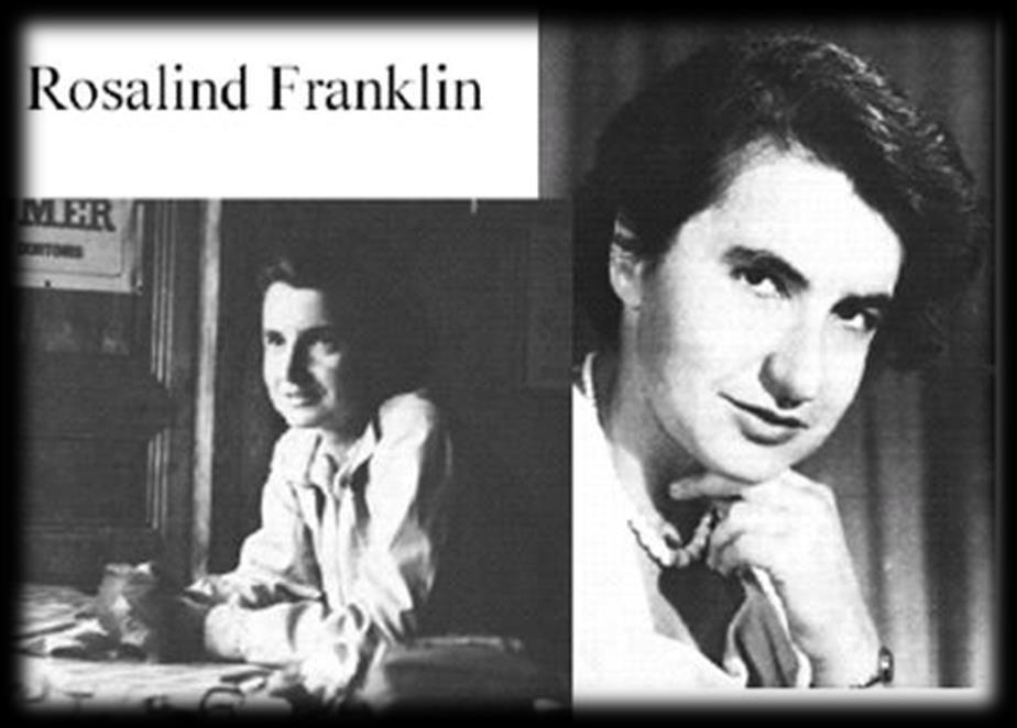 Em 1952 Rosalind Franklin