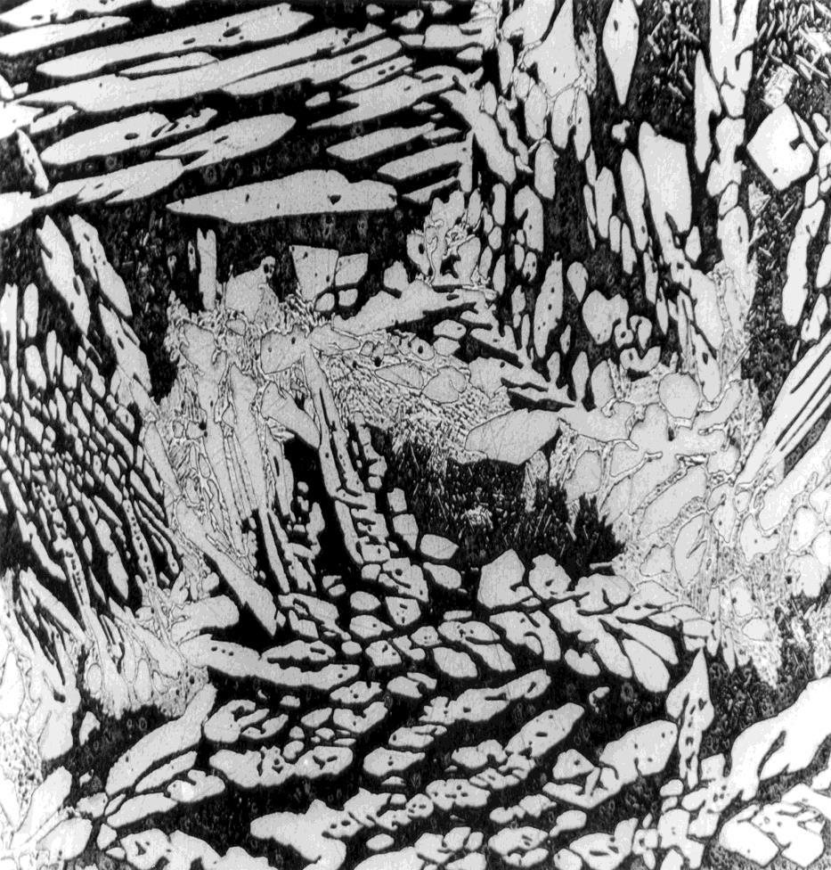 Microestrutrua austenita-ferrita das estruturas bruta de fundição: resfriados dentro do molde de areia aglomerada com resina fenólica-uretânica Ataque: Behara 27HRc 120 X Fig.