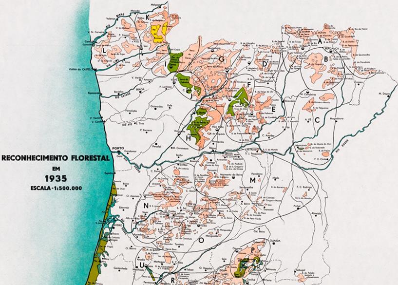 ) Estado inicia arborização sistemática a partir de 1850 e, sobretudo, 1886 (criação dos Serviços Florestais) e 1901 (instituição do Regime Florestal).