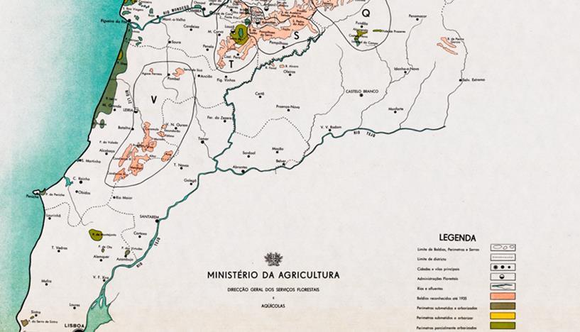 Políticas florestais e arborização: história 2.