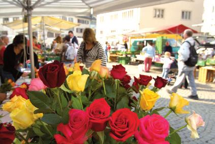 Kompetenzzentrum Integration, Gleichstellung und