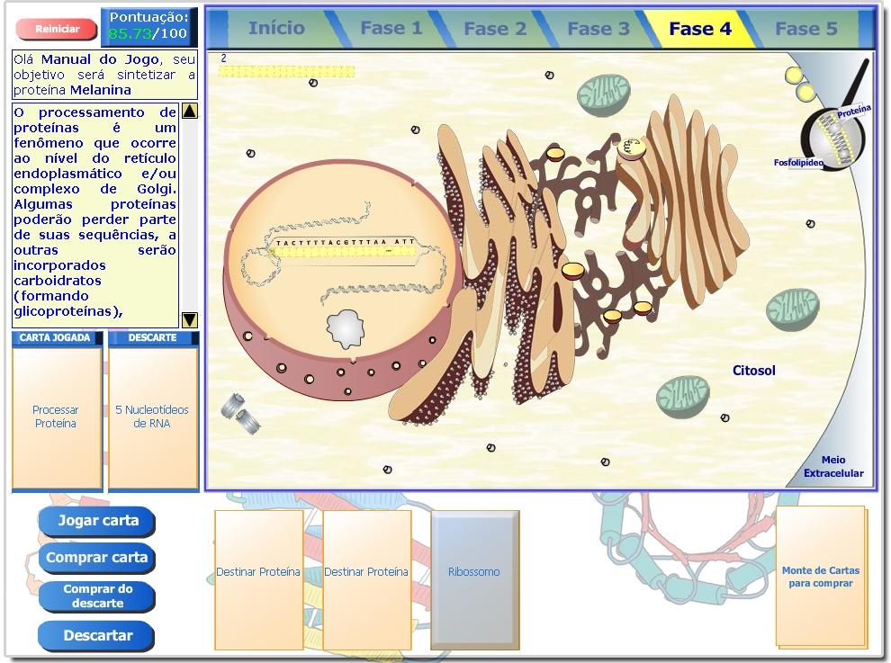 Neste momento o jogador precisa utilizar a carta Processar Proteína, para passar para a Fase 4. 4.5. Fase 4 A Ilustração 42 exibe a tela da Fase 4 do jogo.