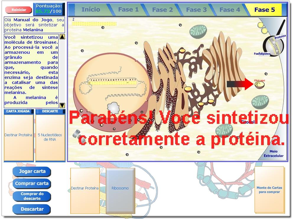 Ilustração 44: Tela da Fase 5 do jogo, destacando o