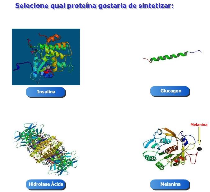 surge uma nova tela: Ilustração 9: Escolhendo a proteína a ser sintetizada. Primeiro passo.