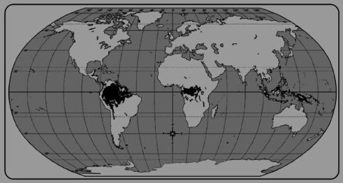 Questão 20. Que vegetação do mundo está sendo representada e quais são suas características principais? Questão 21.