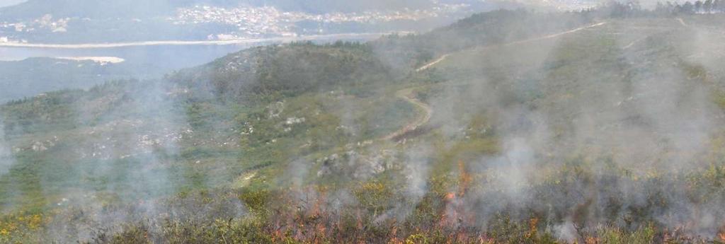 Constrangimentos ao fogo controlado Processo de planeamento