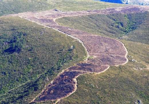 estratégico, dispersão vs concentração Probabilidade de