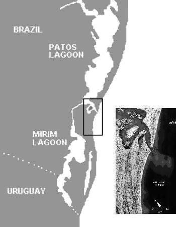 Inserida em uma região geográfica privilegiada (Figura 1), na qual se inclui a Lagoa dos Patos e o estuário que a liga ao Oceano Atlântico (Figura 2), abriga o único porto marítimo do Rio Grande do
