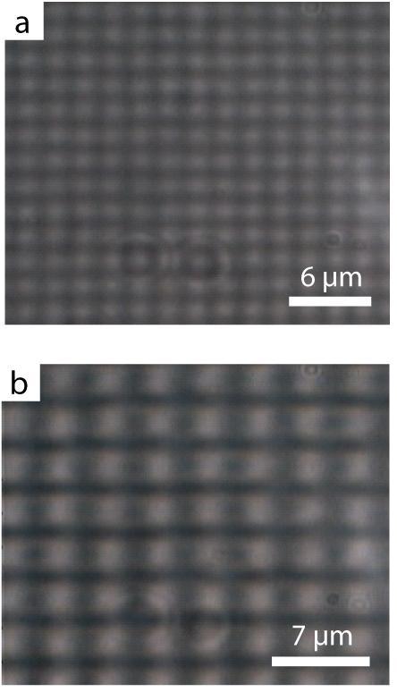 RESULTADOS OBTIDOS VIA SRG 67 Figura 4.3 Imagens de microscopia óptica de transmissão das microestruturas inscritas sobre os filmes de PODR1 com = 2.0 µm (a) e = 3.5 µm (b).