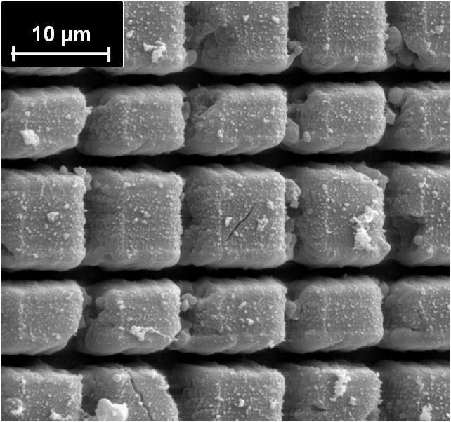 82 Microestruturação de superfícies poliméricas a laser Figura 5.7 Imagem de microscopia eletrônica de varredura do filme PODR1 microestruturado com periodicidade 10 μm.