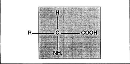 ESTABILIDADE DE FORMAS FARMACÊUTICAS Os estudos de estabilidade baseiam-se em duas grandes áreas, entre as quais não existe uma divisão absoluta: química (bioquímica) física Os fatores físicos